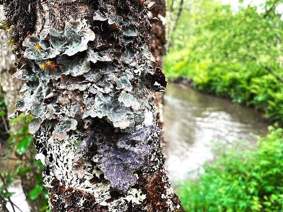 Bilde 1 av 3 i jobbannonse-galleriet