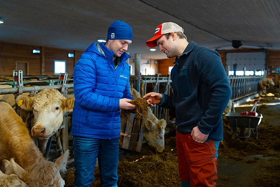 Bilde 3 av 5 i jobbannonse-galleriet