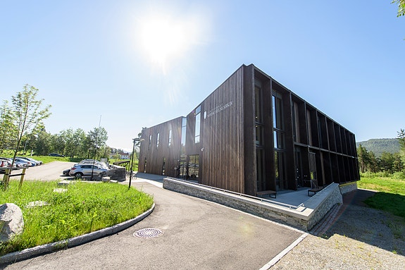 Bilde 2 av 10 i jobbannonse-galleriet