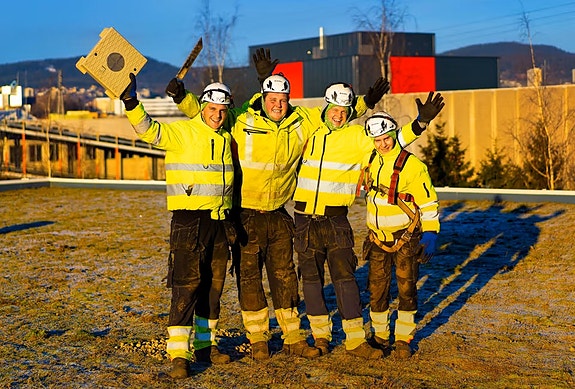 Glad gjeng på taket!