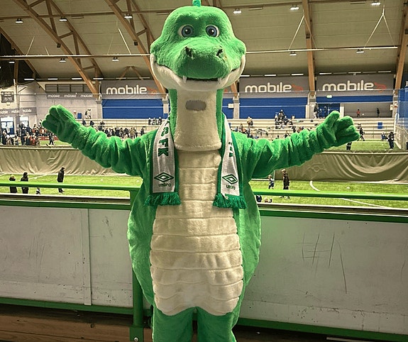 Bilde 2 av 5 i jobbannonse-galleriet