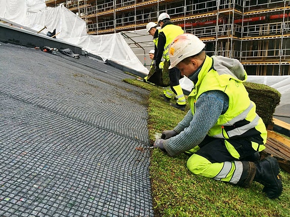 Bilde 8 av 8 i jobbannonse-galleriet