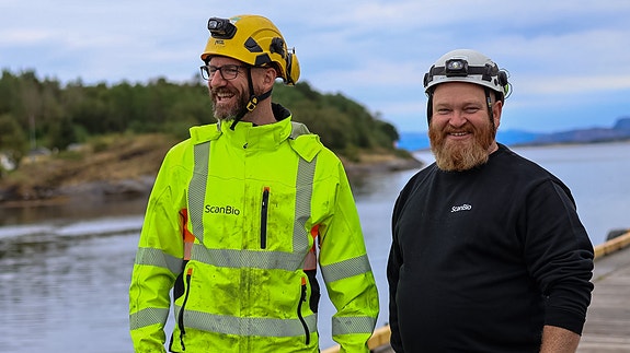 Bilde 2 av 6 i jobbannonse-galleriet