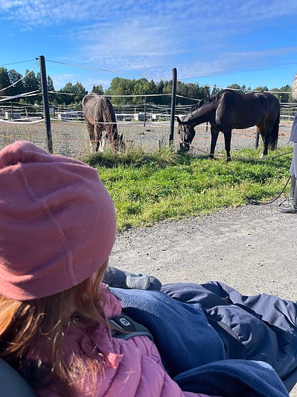 Bilde 1 av 2 i jobbannonse-galleriet