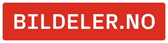 Norsk Bildelsenter AS logo