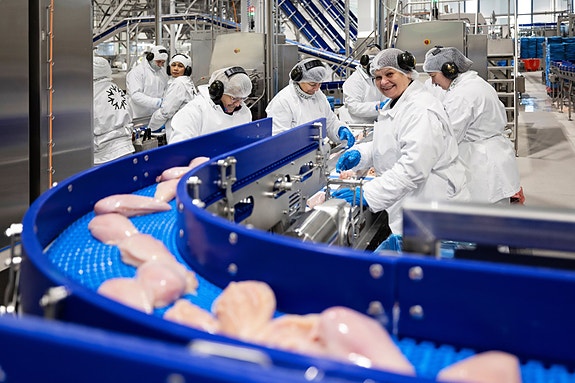 Bilde 1 av 6 i jobbannonse-galleriet