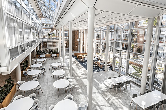 Bilde 3 av 3 i jobbannonse-galleriet