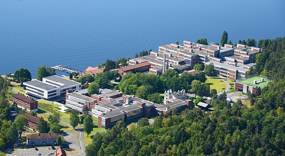 Bilde 1 av 3 i jobbannonse-galleriet