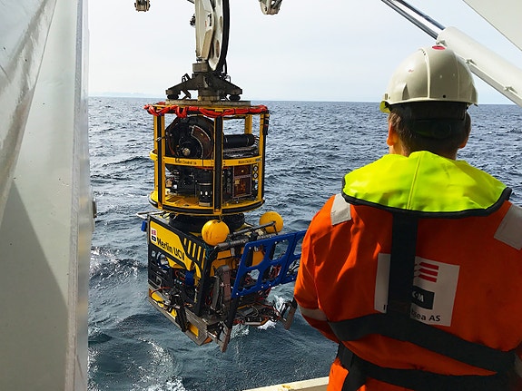 Bilde 3 av 5 i jobbannonse-galleriet