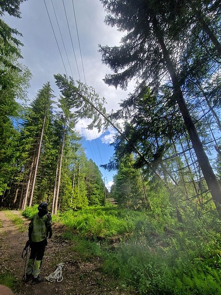 Bilde 3 av 5 i jobbannonse-galleriet