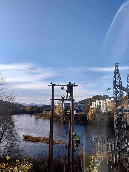 Bilde 4 av 5 i jobbannonse-galleriet