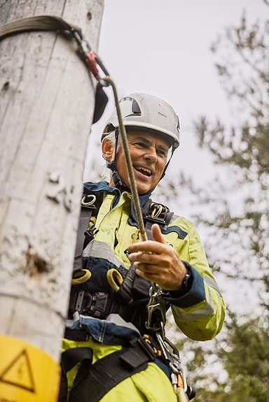 Bilde 2 av 5 i jobbannonse-galleriet