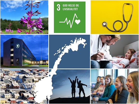 Det er spennende å jobbe hos statsforvalteren lengst nord