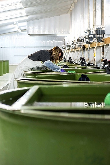 Bilde 3 av 6 i jobbannonse-galleriet