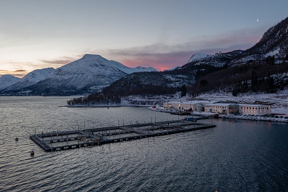 Bilde 1 av 4 i jobbannonse-galleriet