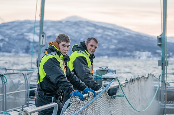 Bilde 3 av 4 i jobbannonse-galleriet