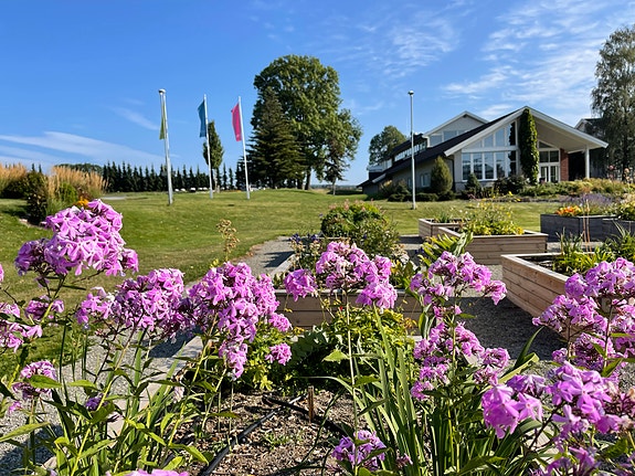 Bilde 2 av 2 i jobbannonse-galleriet