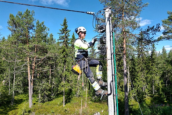 Bilde 3 av 3 i jobbannonse-galleriet