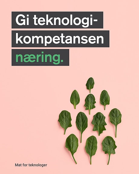 Bilde 1 av 2 i jobbannonse-galleriet