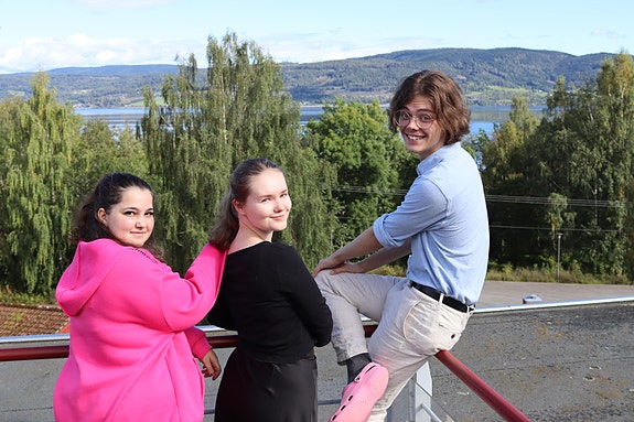 Bilde 2 av 4 i jobbannonse-galleriet