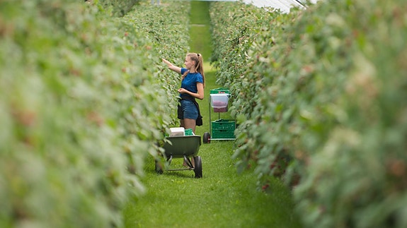 Bilde 5 av 5 i jobbannonse-galleriet