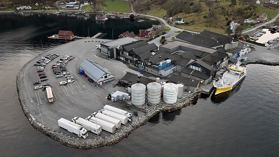 Bilde 2 av 8 i jobbannonse-galleriet