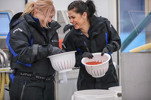 Bilde 3 av 8 i jobbannonse-galleriet