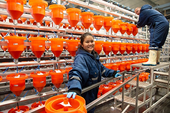 Bilde 1 av 8 i jobbannonse-galleriet