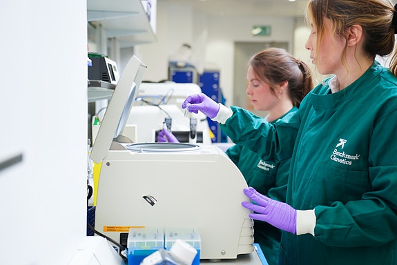 Bilde 5 av 8 i jobbannonse-galleriet