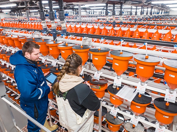 Bilde 7 av 8 i jobbannonse-galleriet