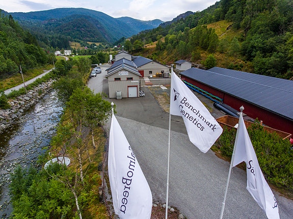 Bilde 6 av 8 i jobbannonse-galleriet