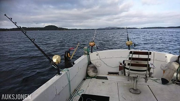 1985 Aquabell 33 - Rigget for tunfiske / Makrellstørje 21 of 23