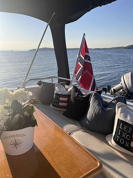 Princess P368 Autopilot, godt utstyrt 17 of 30