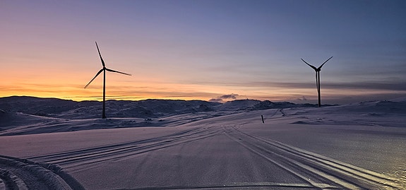 Bilde 1 av 6 i jobbannonse-galleriet