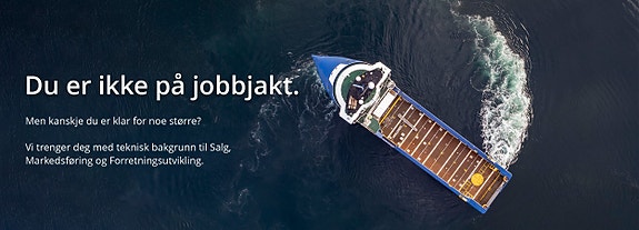 Bilde 1 av 1 i jobbannonse-galleriet