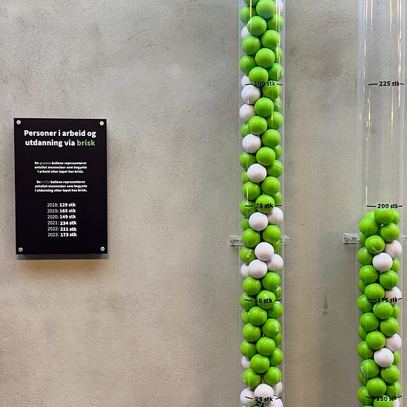 Bilde 1 av 2 i jobbannonse-galleriet