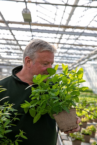 Bilde 4 av 4 i jobbannonse-galleriet