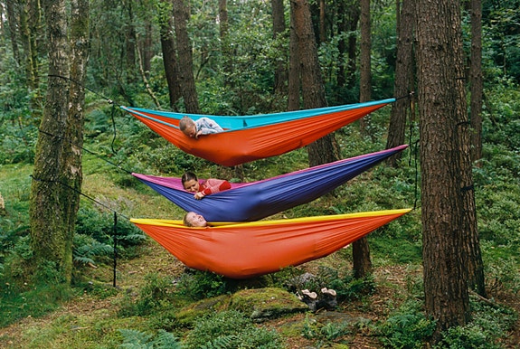 Bilde 3 av 3 i jobbannonse-galleriet