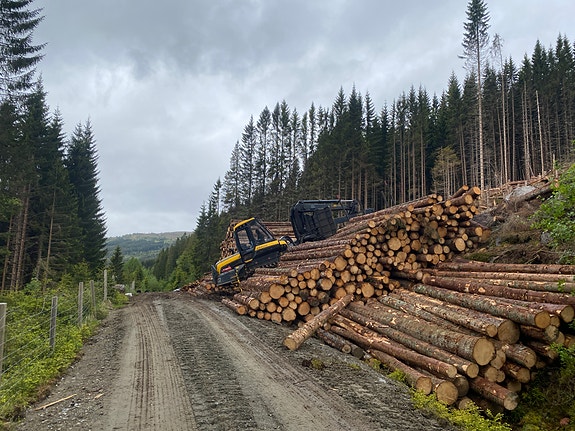 Bilde 1 av 7 i jobbannonse-galleriet