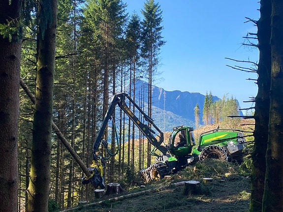 Bilde 7 av 7 i jobbannonse-galleriet