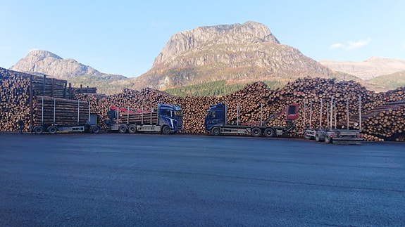 Bilde 6 av 7 i jobbannonse-galleriet