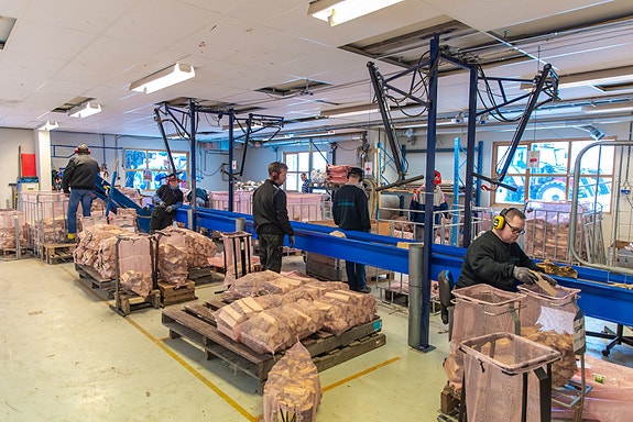 Bilde 5 av 8 i jobbannonse-galleriet