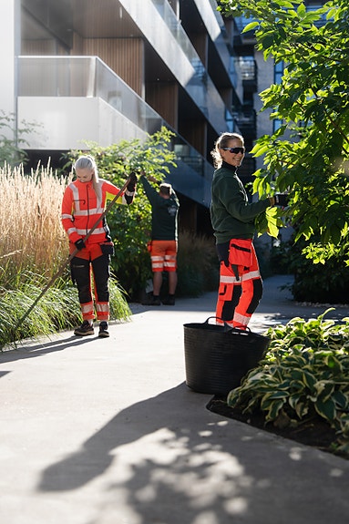 Bilde 6 av 6 i jobbannonse-galleriet