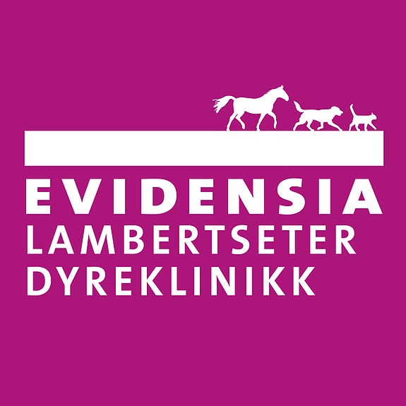 Evidensia Norway logo