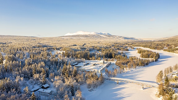 Bilde 1 av 5 i jobbannonse-galleriet