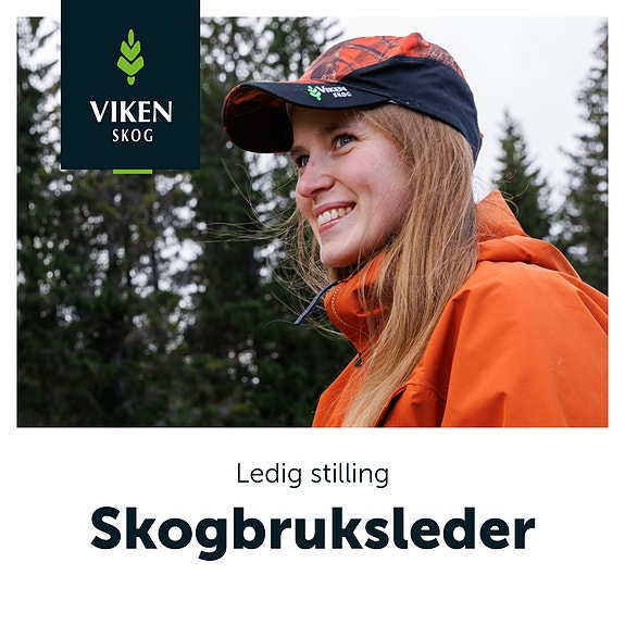 Bilde 1 av 5 i jobbannonse-galleriet