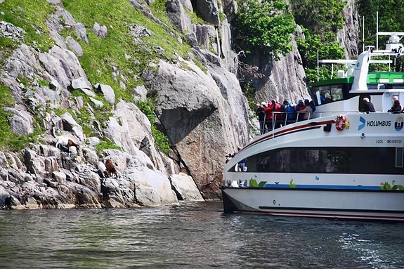 Bilde 6 av 10 i jobbannonse-galleriet