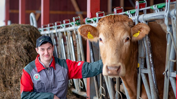 Trygg og seriøs arbeidsgiver med ordnede lønns- og arbeidsvilkår. Vi har stadig bruk for positive avløsere og landbruksvikarer som ønsker å bo landlig, og arbeide med matproduksjon i en region som har det meste man kan ønske seg.