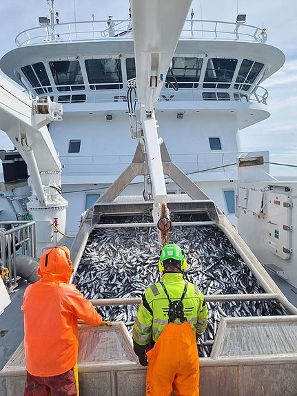 Bilde 2 av 3 i jobbannonse-galleriet