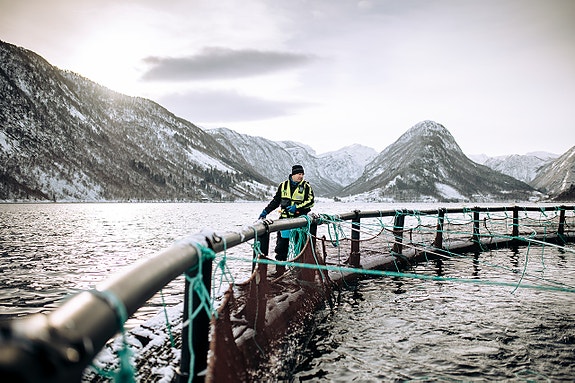 Bilde 1 av 1 i jobbannonse-galleriet